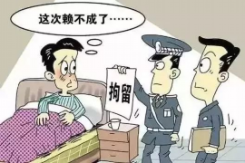 衡水衡水的要账公司在催收过程中的策略和技巧有哪些？